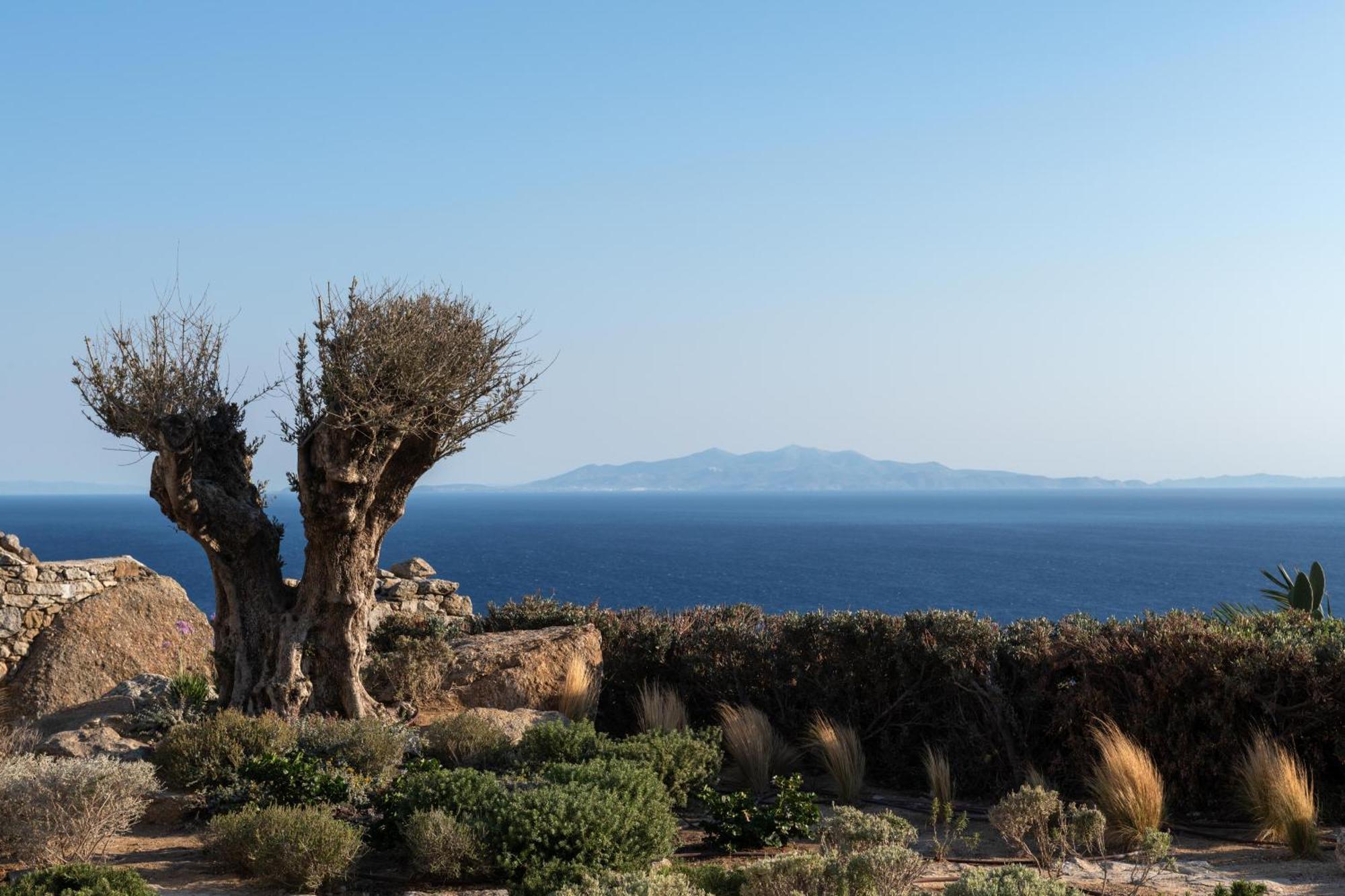 Villa Ava Mykonos Mykonos Town Exteriér fotografie